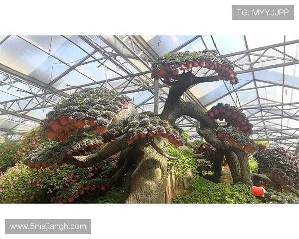 2026金华比赛：展现运动精神与城市魅力的盛会